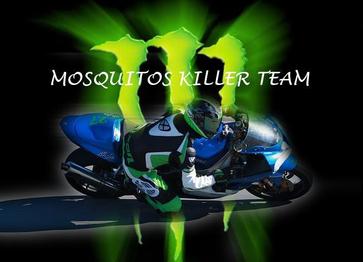 taz circuit du luc kawasaki